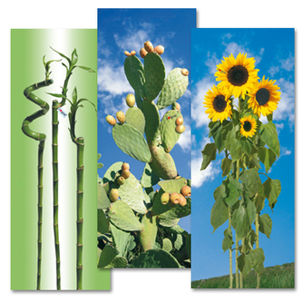 POTAH NA ŽEHLICÍ PRKNO 132X48 I LOVE GIMI