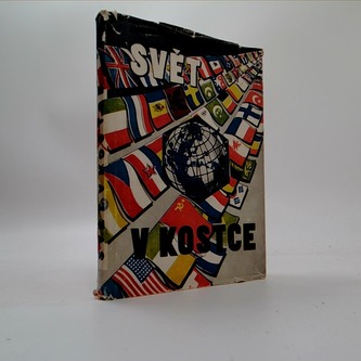 Svět v kostce