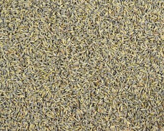 Bylinný čaj Levandule květ (Lavandulae flos) 200 g