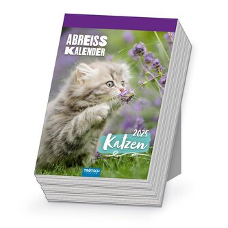 Trötsch Abreißkalender Katzen 2025