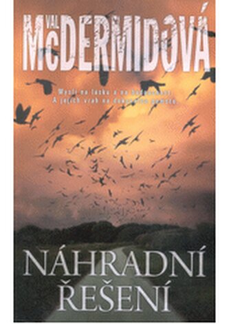 Náhradní řešení