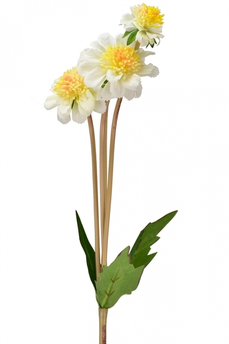 Jiřina bílá 45 cm