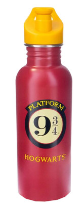Nerezová outdoor láhev na pití Harry Potter: Nástupiště 9 a 3/4 (objem 700 ml)