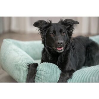 Vital Bed JONNA ortopedický obdélníkový pelech, manšestrový plyš, šalvějová - 80 x 60 cm