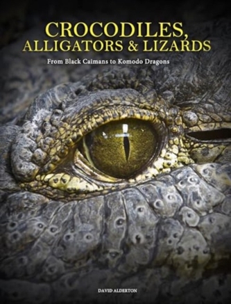 Crocodiles, Alligators & Lizards Crocodiles, Alligators & Lizards
