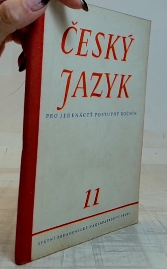 Český jazyk pro jedenáctý postupný ročník