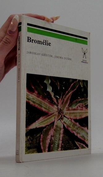 Bromelie