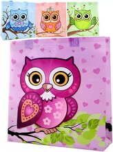 Taška dárková s obrázkem 27x29cm sovičky 4 druhy