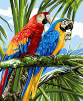 Diamantové malování Papoušci ve větvích 30x40cm