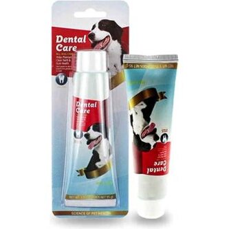 Dental Care Zubní pasta Beef Flover 95g