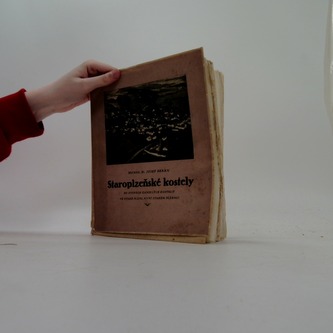 Staroplzenské kostely