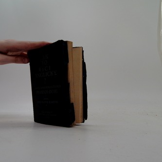 Jak to říci anglicky