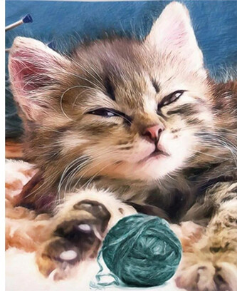 Norimpex Diamantové malování Kotě s klubíčkem 30x40cm