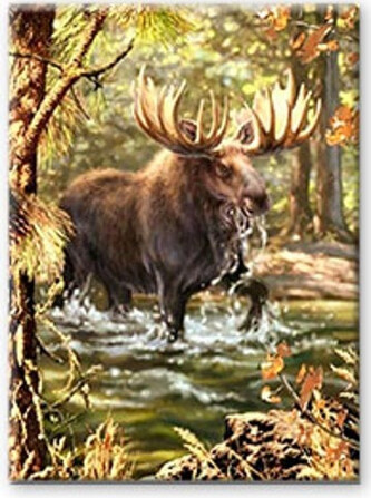 Norimpex Diamantové malování Los v řece 30x40cm