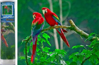 Norimpex Diamantové malování Papoušci na stromě 30x40cm