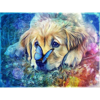 Norimpex Diamantové malování Pes s motýlem 30x40cm