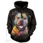 Mikina The Mountain Hoodie Beware Of Pit Bulls - černá, S