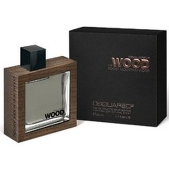Dsquared2 He Wood Rocky Mountain Wood Toaletní voda Tester 100 ml pro muže