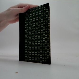 Cizinci - společenský román