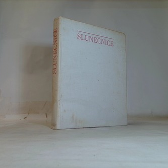 Slunečnice