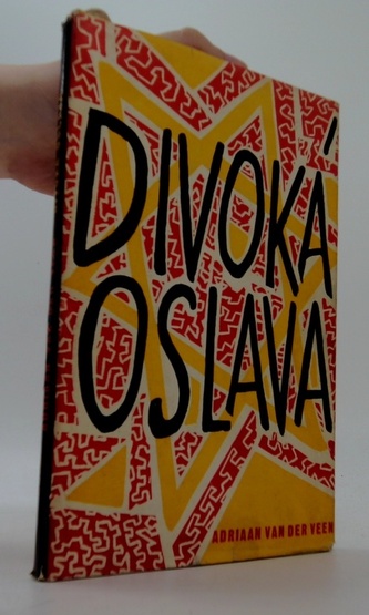 Divoká oslava