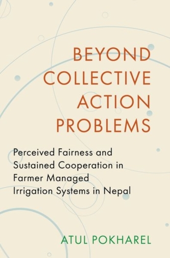 Beyond Collective Action Problems