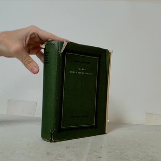 Mládí krále Jindřicha IV.