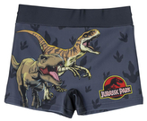 Dětské plavecké boxerky Jurassic Park|Jurský park: T-Rex & Veleciraptor (8 let) šedý polyester