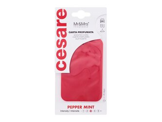 Mr&Mrs Fragrance Cesare Vůně do auta Scented Card 1 ks Pepper Mint unisex