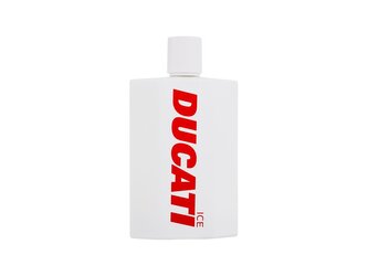 Ducati Ice Toaletní voda 100 ml pro muže