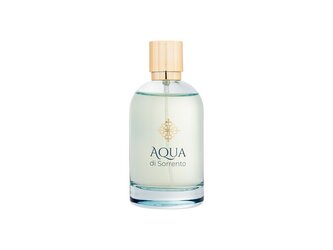 Aqua di Sorrento Posillipo Parfémovaná voda 100 ml pro muže
