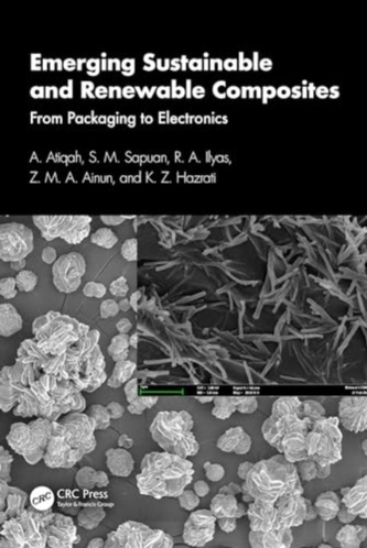 Emerging Sustainable and Renewable Composites