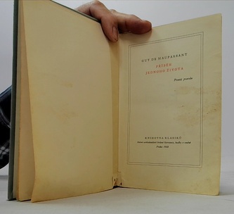 Příběh jednoho života