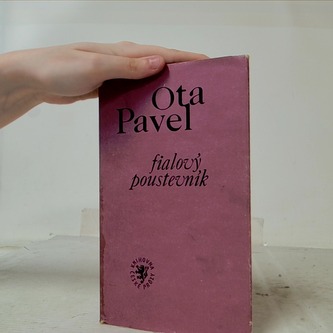 Fialový Poustevník