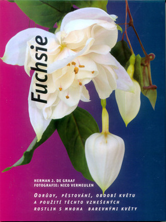 Fuchsie (Herman J. de Graaff, 1999)
