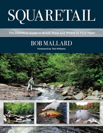 Squaretail