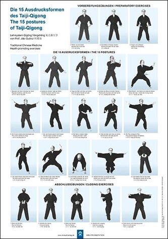 Die 15 Ausdrucksformen des Taiji Qigong Poster