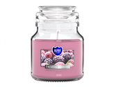 Svíčka ve skle MRAŽENÉ OVOCE 120g