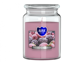 Svíčka ve skle MRAŽENÉ OVOCE vonná 500g