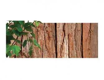 Rohož kůra jedle jednostranná 1x3m