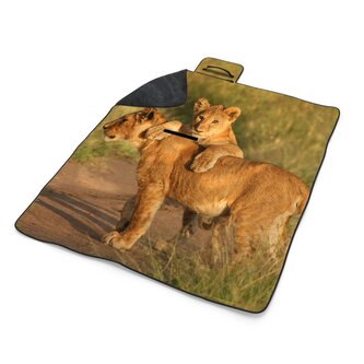 Plážová deka Lvíčata: 200x140 cm