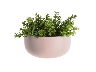 Nástěnný keramický květináč Oval Wide růžový Present Time Nástěnný keramický květináč Oval Wide růžový Present Time