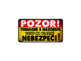 Nekupto Plechová cedulka Teenager s názorem