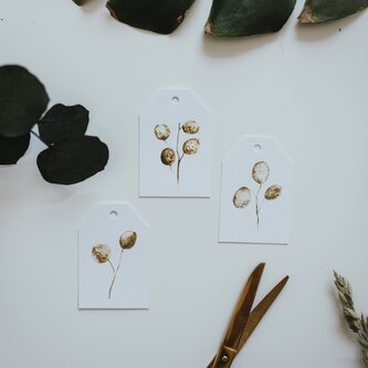 Be Nice Jmenovky Měsíčnice