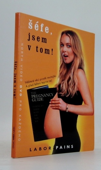 DVD: Šéfe, jsem v tom!