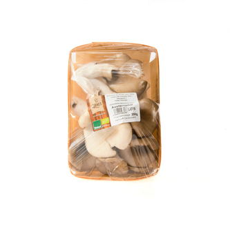 Hlíva „Ústřičná" (vanička 200 g) BIO