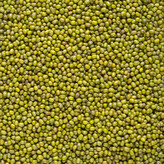 Fazole mungo 5 kg BIO   COUNTRY LIFE