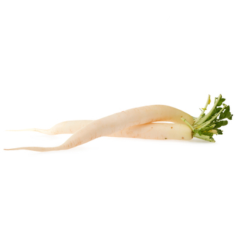 Ředkev bílá „Daikon" BIO (ks)