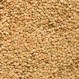 Čočka zelená velká 5 kg BIO   COUNTRY LIFE