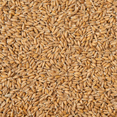 Pšenice špalda BIO